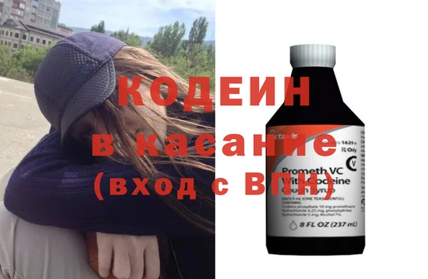 шишки Няндома