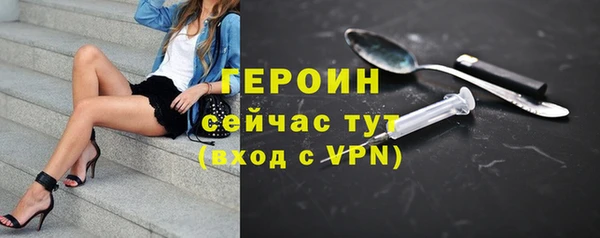 шишки Няндома