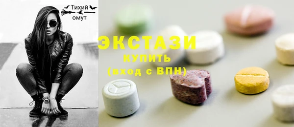 шишки Няндома
