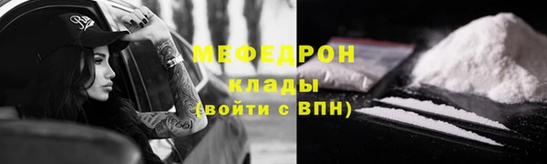 шишки Няндома