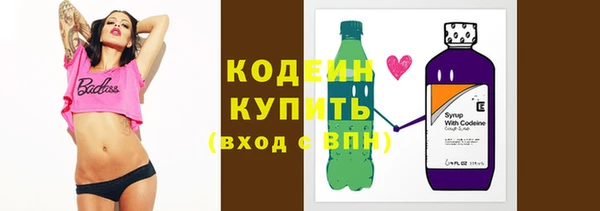 шишки Няндома