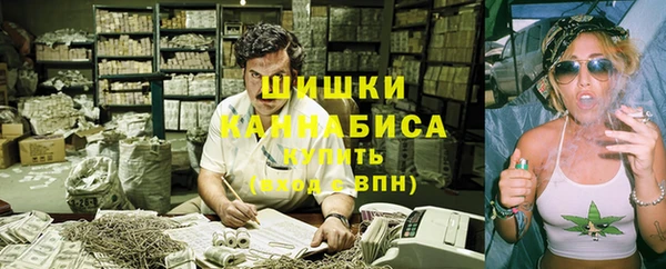 шишки Няндома