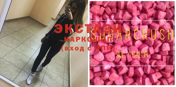 шишки Няндома