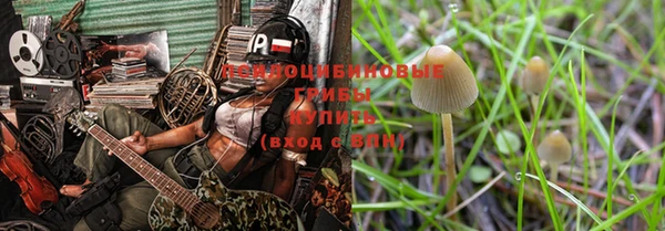 дживик Нягань