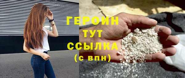 шишки Няндома