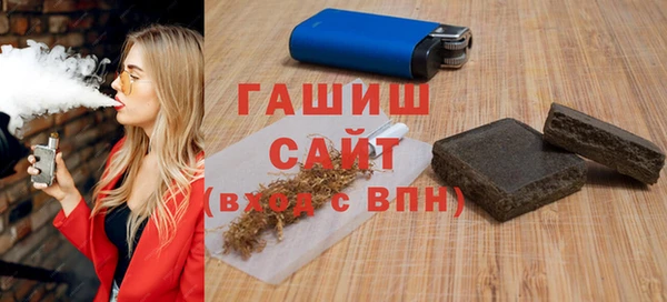 шишки Няндома