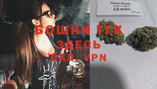 дживик Нягань
