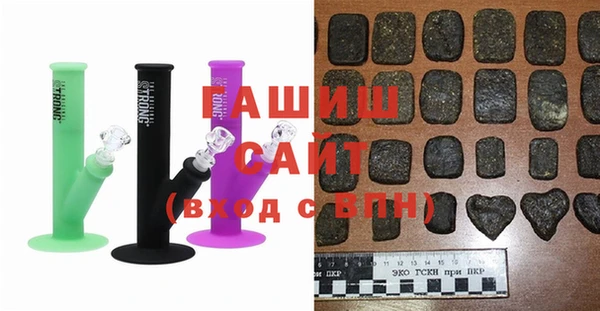шишки Няндома