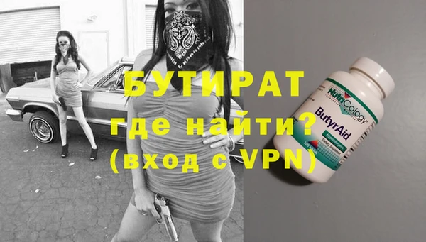 шишки Няндома
