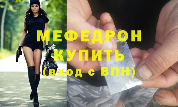 шишки Няндома
