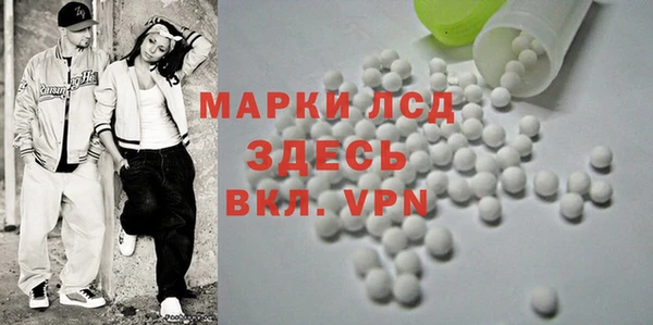 шишки Няндома