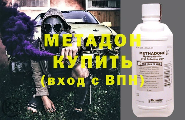 шишки Няндома