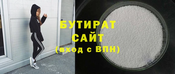 шишки Няндома