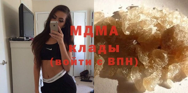 шишки Няндома