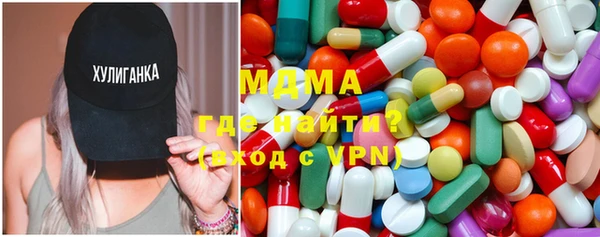 шишки Няндома