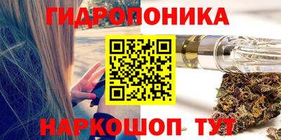 индика Прокопьевск