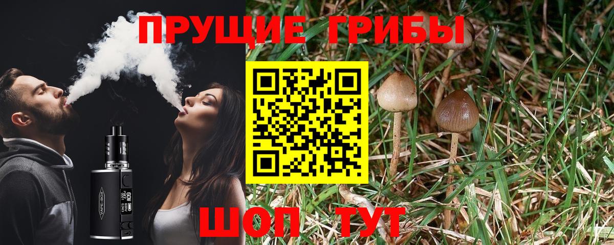 Псилоцибиновые грибы GOLDEN TEACHER  Вход с VPN  Псилоцибиновые грибы ЛСД  Химки 