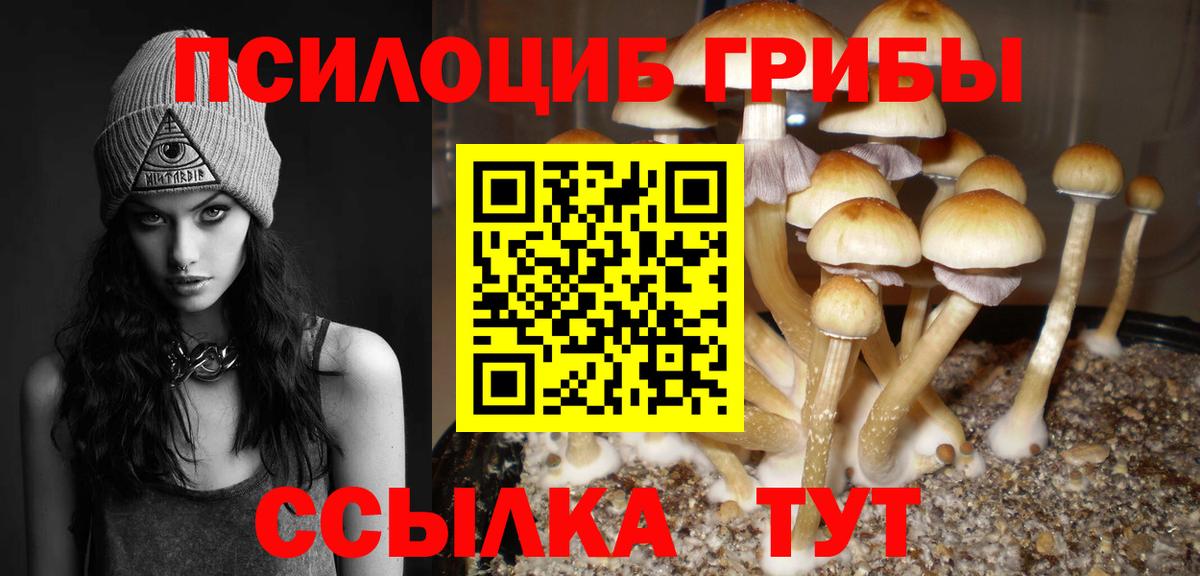 Галлюциногенные грибы прущие грибы Химки